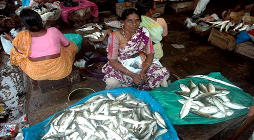 fish market 0